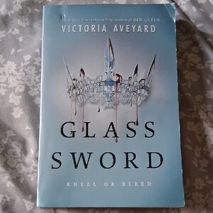 Barnes & Noble Glass Sword Book - Paper Back